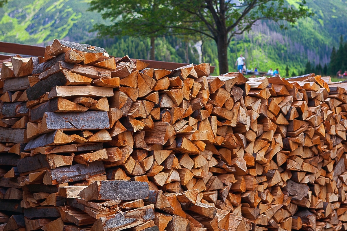 Quel est le prix d'un stère de bois en cette deuxième semaine de décembre 2023 ?
