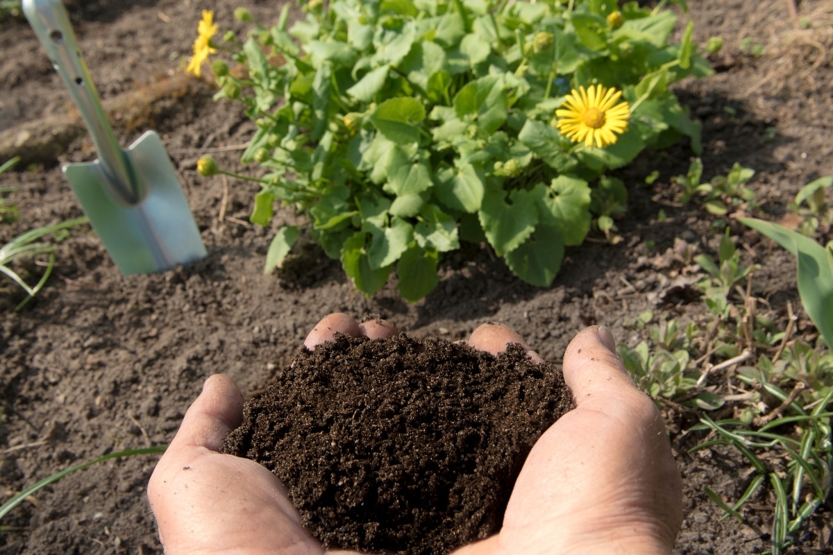Transformez votre jardin avec ces engrais bio les plus efficaces à faire chez vous !
