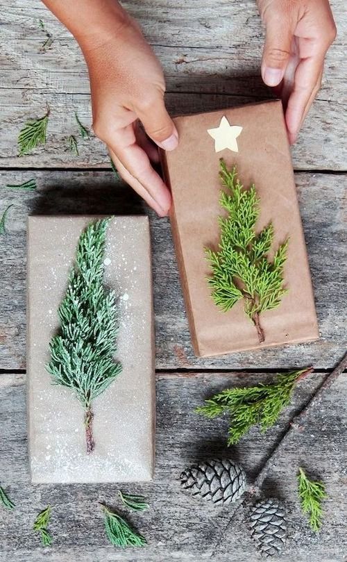 Un papier cadeau avec une branche de sapin