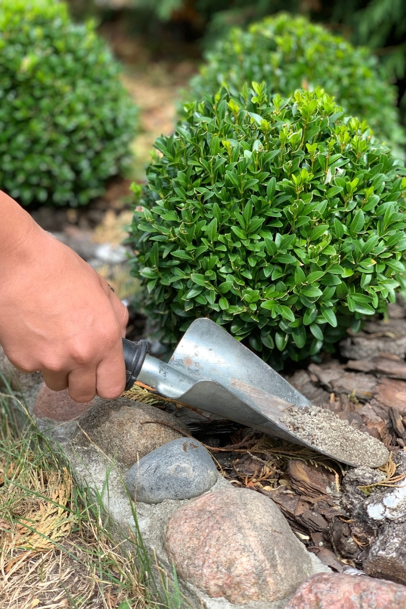 Utiliser les cendres de bois au jardin