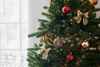 Votre sapin perd ses aiguilles ? Conseils infaillibles pour sauver votre Noël !