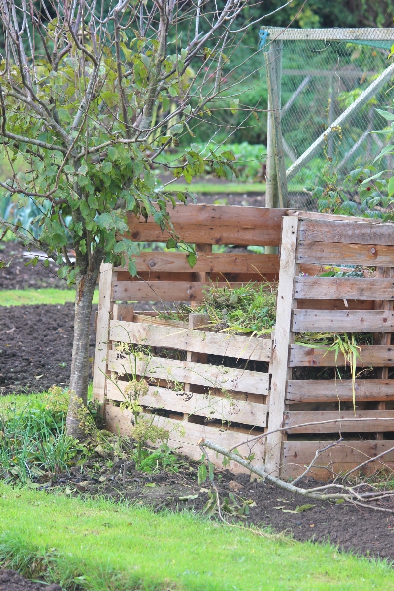 Ajouter les mauvaises herbes du jardin à son compost