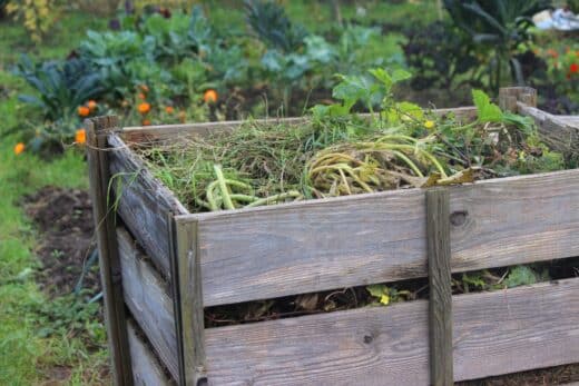 À épingler : Comment transformer les mauvaises herbes de votre jardin en compost ?
