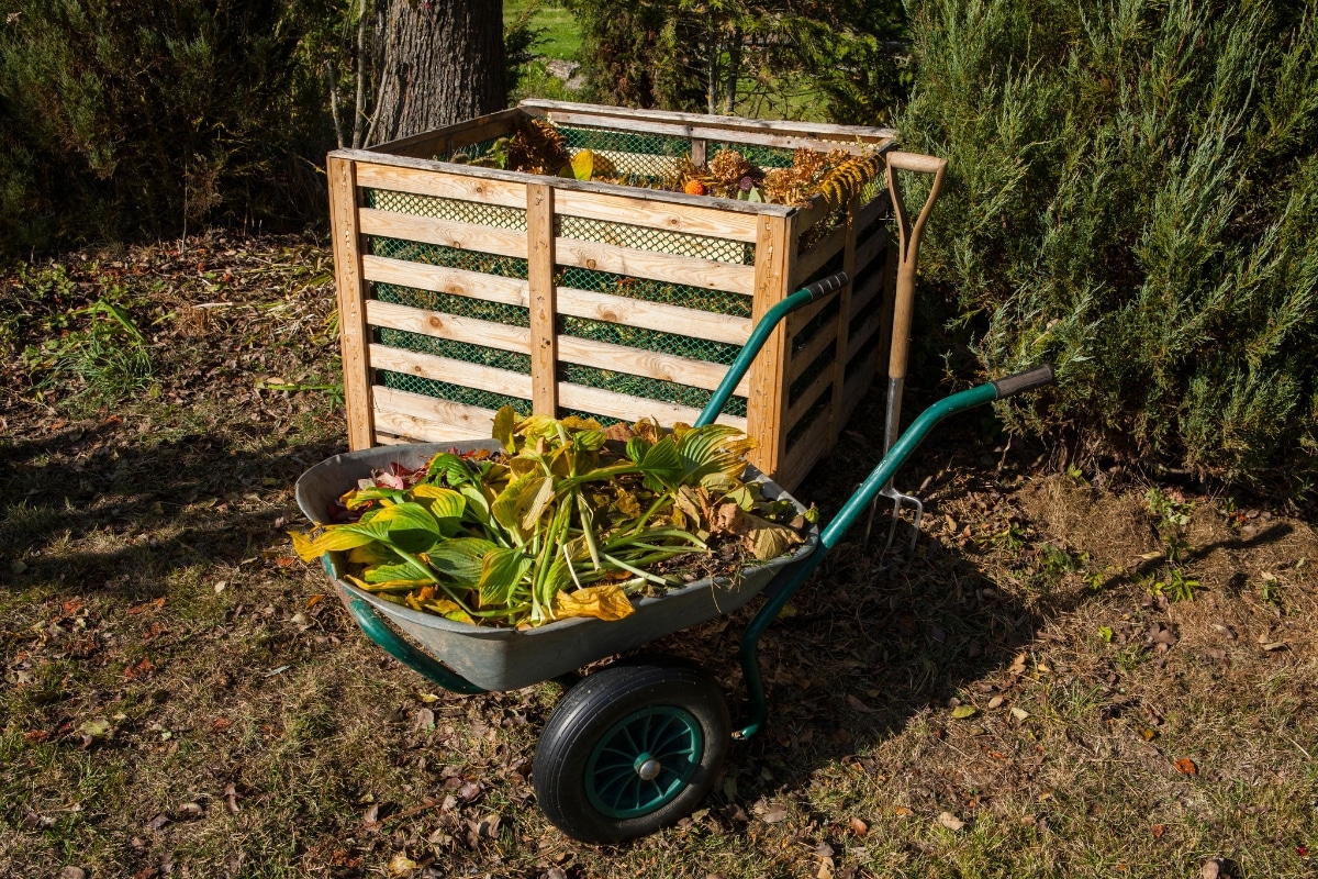 Compostage en hiver ? Les méthodes incontournables à adopter pour un engrais de qualité !