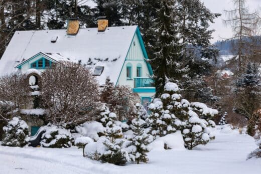À épingler : De la neige dans votre jardin ? Un allié aux bienfaits cachés pour vos plantes en hiver !