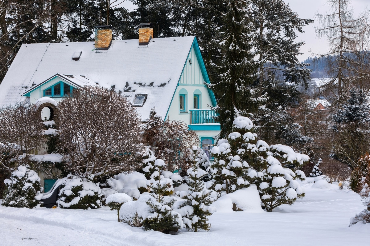 De la neige dans votre jardin Un allié aux bienfaits cachés pour vos plantes en hiver !