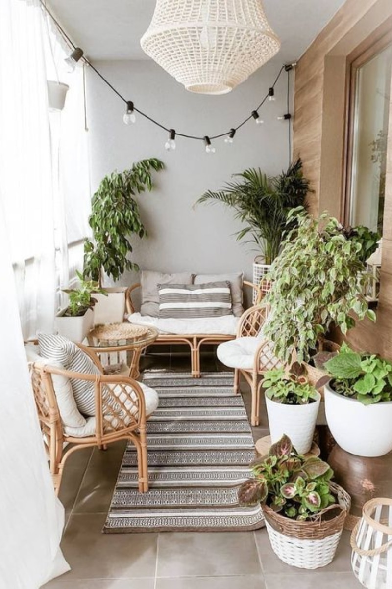 Des plantes pour un jardin d'intérieur