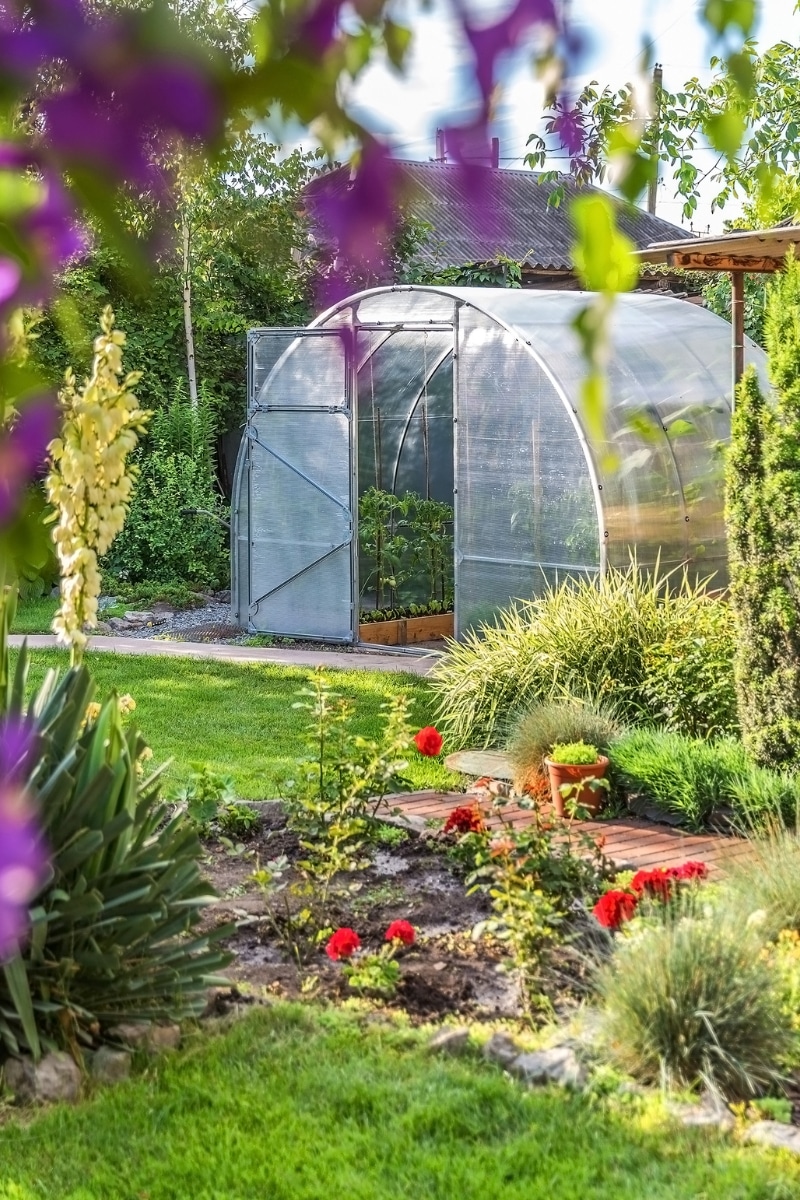 Entretenir la serre de votre jardin