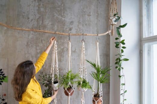 À épingler : Envie d’un jardin d’intérieur ? Les meilleures plantes et astuces pour un espace vert réussi !