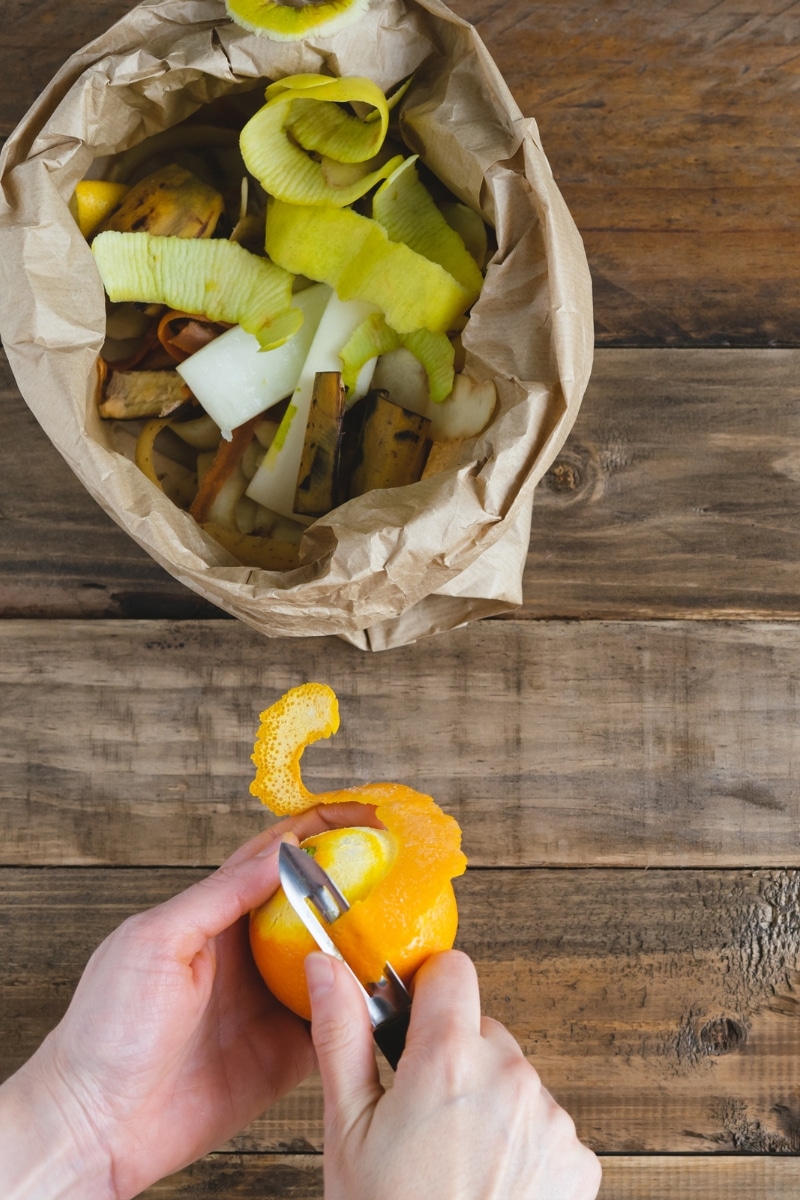 épluchures d'agrumes à mettre dans le compost