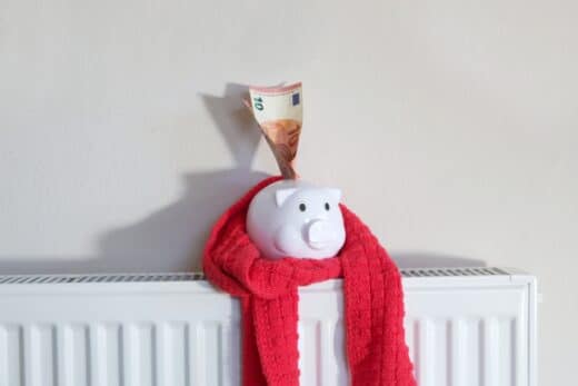 À épingler : Gaz, électricité ou bois ? Sur quelle énergie compter pour un chauffage économique en hiver ?