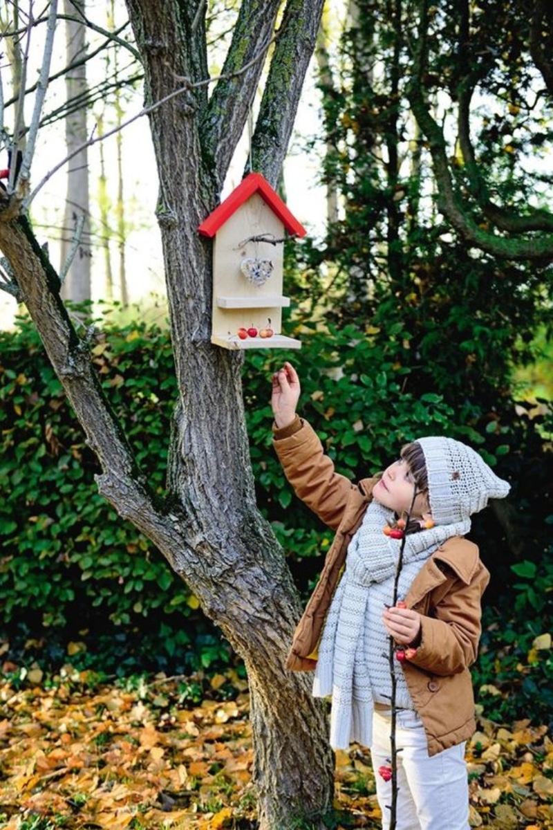 Installer une mangeoire dans un arbre