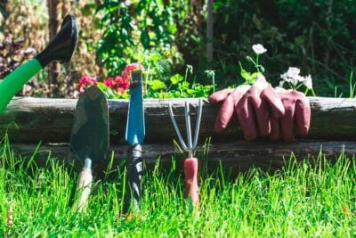 Jardinage hivernal : les outils indispensables pour un jardin sain !