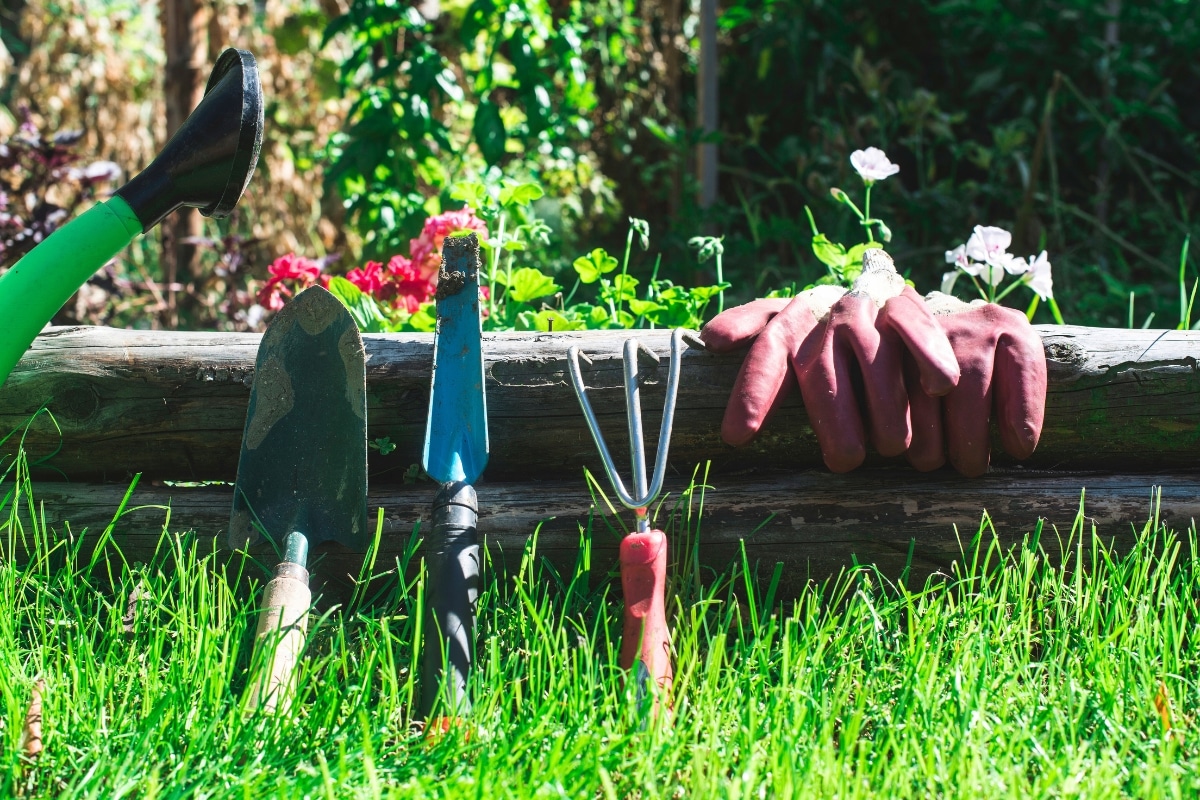 Jardinage hivernal : les outils indispensables pour un jardin sain !
