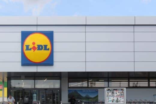 À épingler : Lidl casse les prix ! Profitez de 30 % de réduction sur cette tronçonneuse d’élagage à essence PARKSIDE !