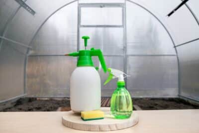 Nettoyer les vitres de votre serre ! Astuces pour effectuer ce geste essentiel pour des plantes épanouies !