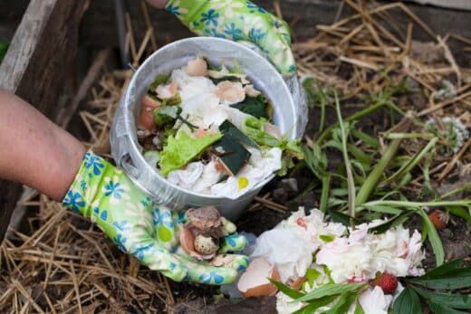 À épingler : Obtenir un compost de qualité ? Essayez cette technique qui transformera vos déchets en or pour votre sol !