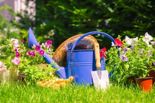 À épingler : Préparer votre jardin pour le printemps ? Les étapes et conseils d’entretien essentiels