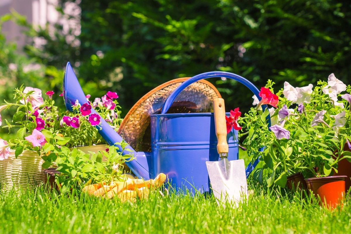 Préparer son jardin pour le printemps