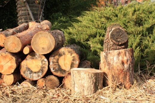 À épingler : Quel est le prix du stère de bois en cette troisième semaine de janvier 2024 ?