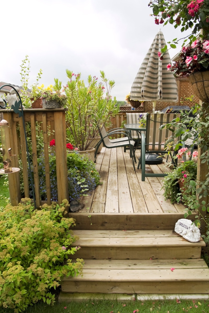 Terrasse en bois