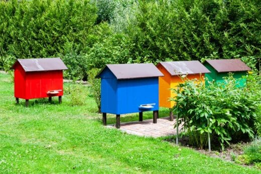 À épingler : Installer une ruche dans le jardin : règles essentielles à respecter !