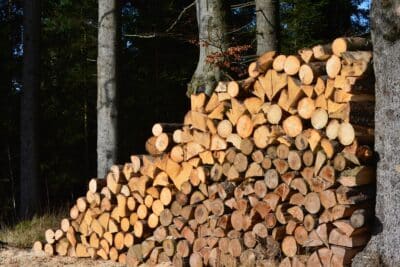 Le prix du stère de bois en cette troisième semaine de février 2024