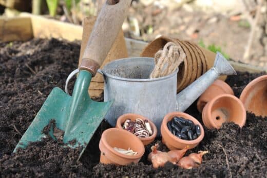 À épingler : Préparation du potager en février : les étapes essentielles à suivre pour une récolte abondante !