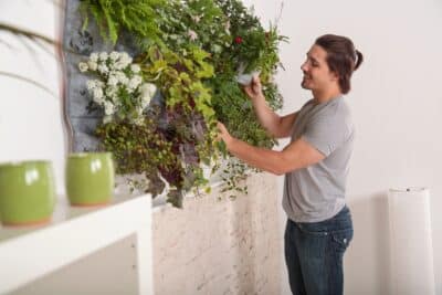 Un jardin vertical à la maison