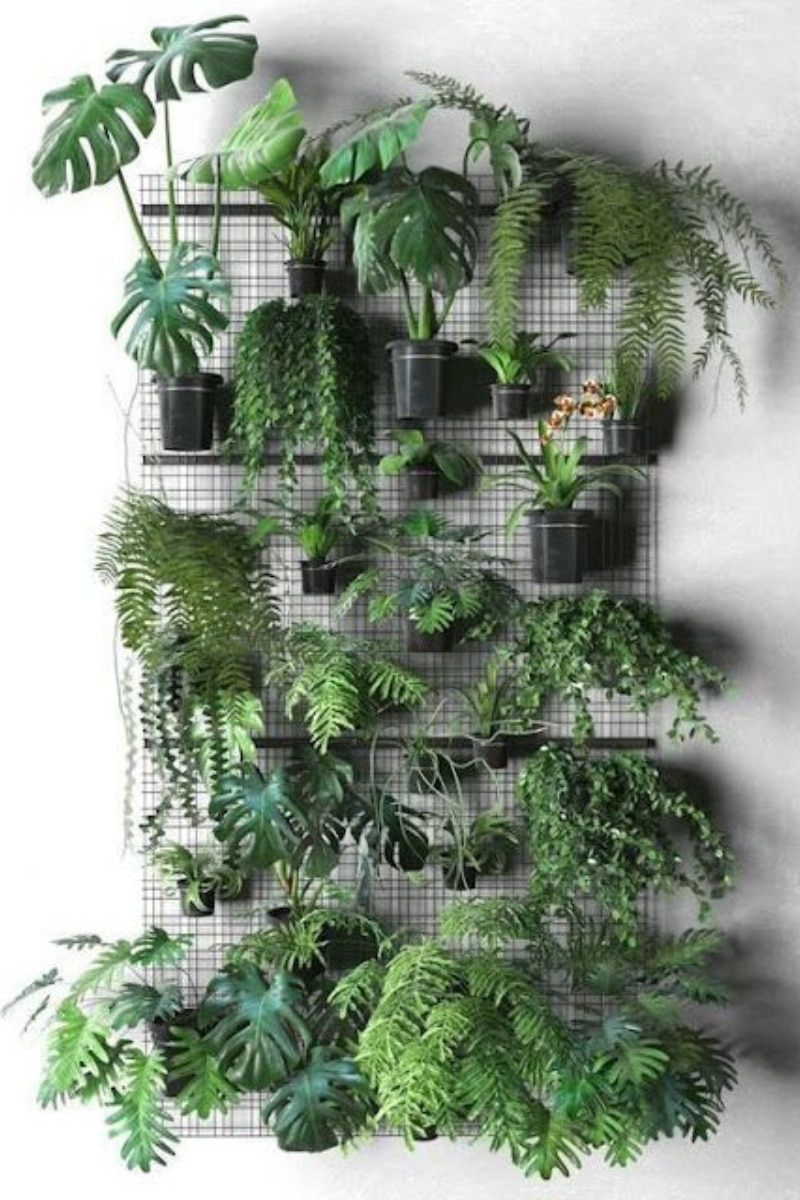 Un jardin verticale