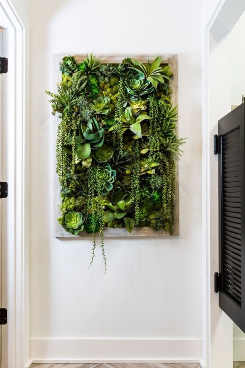 Un mur végétal