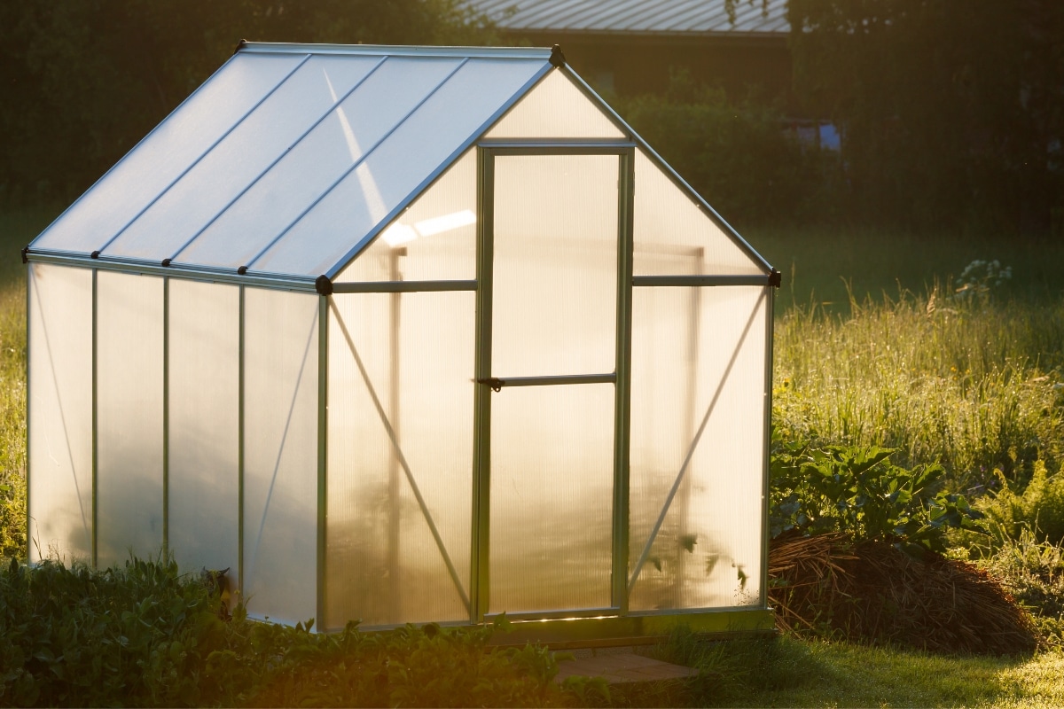 Une serre au jardin