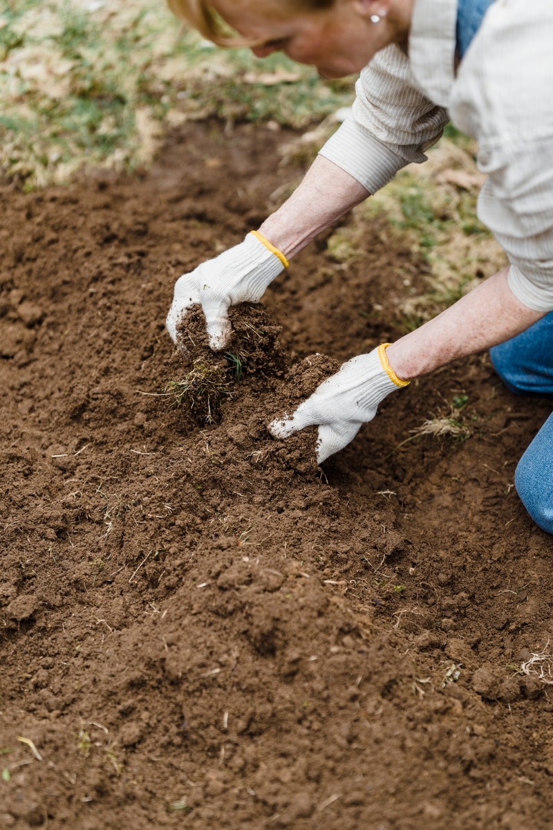 Vérifier la qualité du sol du potager