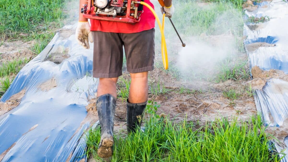 Adblue désherbant pour le jardin