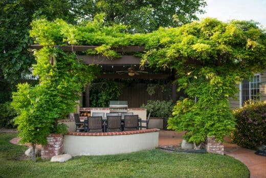 À épingler : 4 plantes grimpantes pour embellir et rafraîchir votre pergola en été