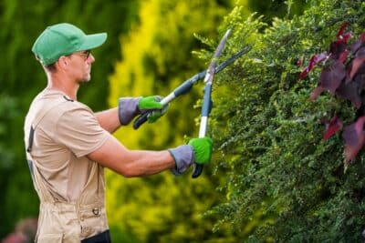 Combien coûte un jardinier ? Info sur le tarif d'un jardinier à domicile ! 