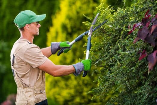 À épingler : Combien coûte un jardinier ? Info sur le tarif d’un jardinier à domicile !