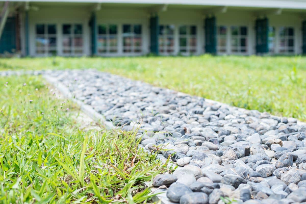 Comment bien préparer mon jardin avant l'arrivée du printemps ?