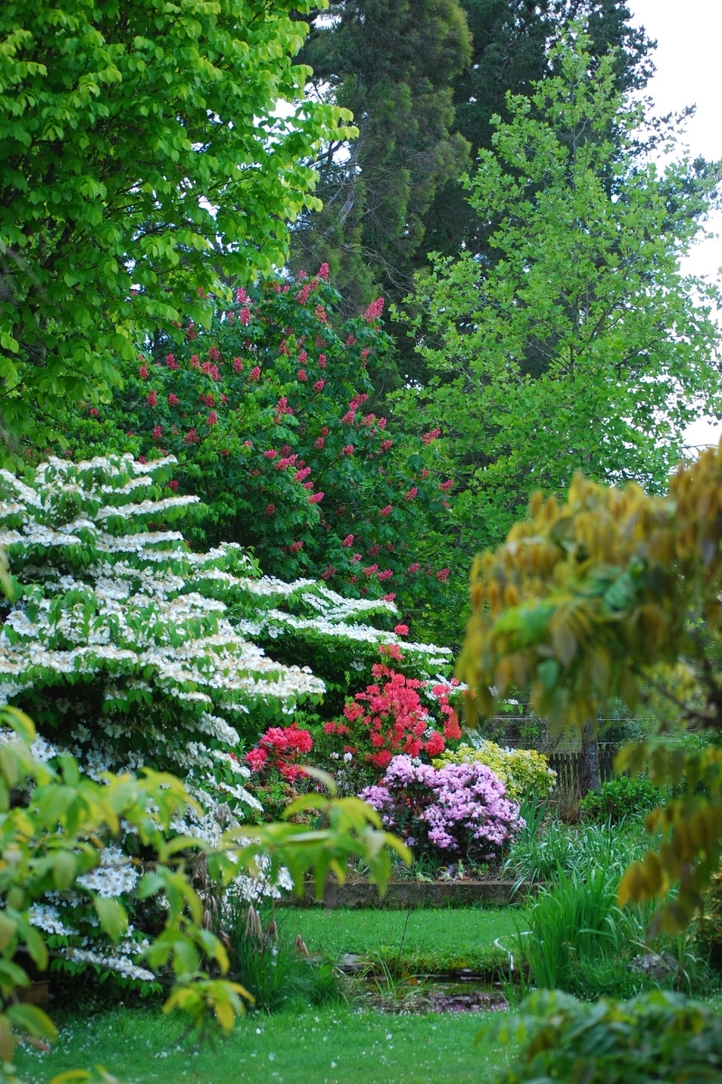 Des plantes au jardin