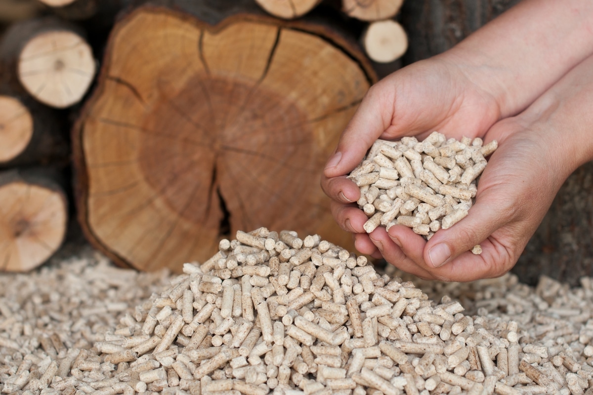 Le prix des pellets en cette quatrième semaine de mars 2024