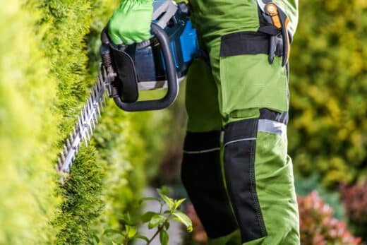 À épingler : Cette pratique au jardin est interdite à partir du 15 mars sous peine d’une lourde amende