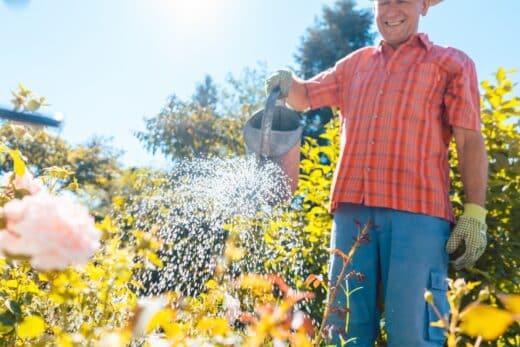 À épingler : Ajouter du vinaigre à son eau d’arrosage : bonne ou mauvaise idée ?