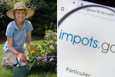 Cette case que les propriétaires de jardin doivent cocher dans leur déclaration de revenus