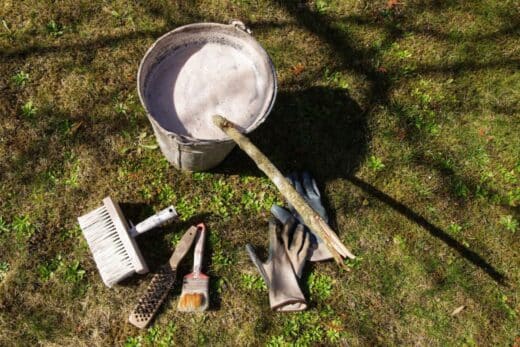 À épingler : La chaux vive : conseils d’usage pour améliorer la santé et la productivité de votre jardin