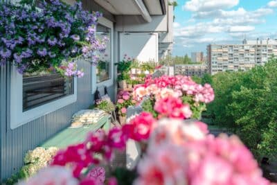 Des plants en pots au balcon