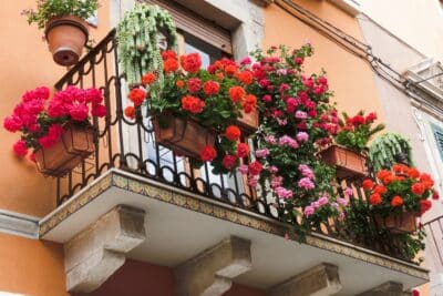 Les fleurs pour embellir votre balcon