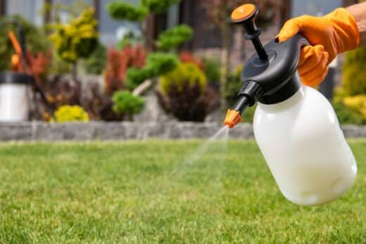 À épingler : Attention ! Lourde amende et sanction encourues pour l’utilisation de ces produits de jardinage