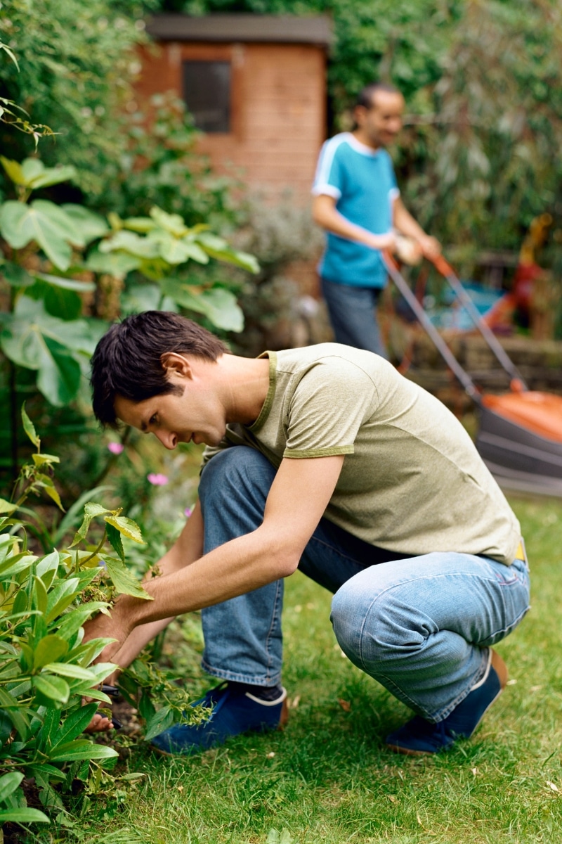 Propriétaires de jardin