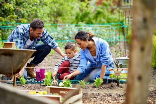 À épingler : Que faire au jardin en mai ? Votre guide des tâches clés de la serre au potager