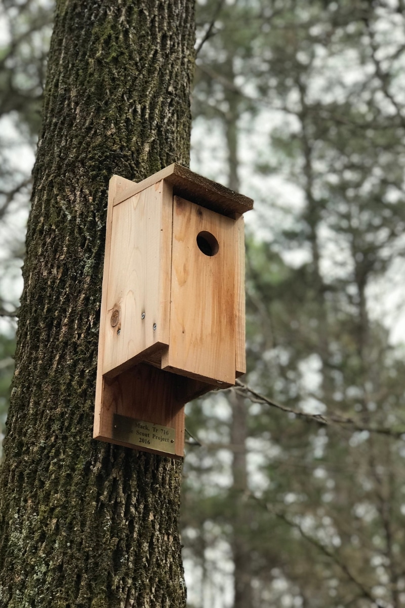 Un nichoir à balcon